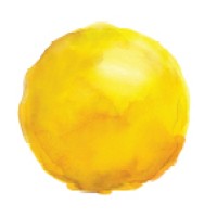 CooperCompanies logo